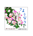 ミチコスタンプ NO9  冬の花（個別スタンプ：4）