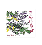 ミチコスタンプ NO9  冬の花（個別スタンプ：6）