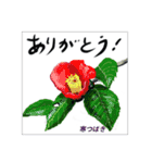 ミチコスタンプ NO9  冬の花（個別スタンプ：9）