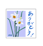 ミチコスタンプ NO9  冬の花（個別スタンプ：10）