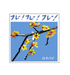 ミチコスタンプ NO9  冬の花（個別スタンプ：11）
