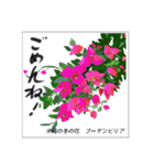 ミチコスタンプ NO9  冬の花（個別スタンプ：12）