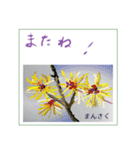 ミチコスタンプ NO9  冬の花（個別スタンプ：15）