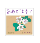 ミチコスタンプ NO9  冬の花（個別スタンプ：16）