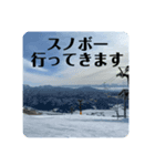 家族へ一言返事（個別スタンプ：16）