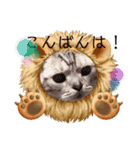 にゃんこと楽しむ♪（個別スタンプ：4）