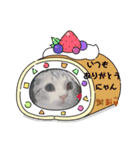 にゃんこと楽しむ♪（個別スタンプ：6）