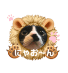 ミー介にゃおん（個別スタンプ：1）