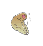 さるづくし2（個別スタンプ：1）