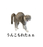 Glicoの日常スタンプ（個別スタンプ：3）