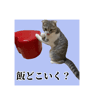 Glicoの日常スタンプ（個別スタンプ：4）