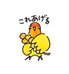 コザクラインコ 、ルチノーちゃん（個別スタンプ：6）