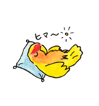 コザクラインコ 、ルチノーちゃん（個別スタンプ：19）