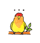 コザクラインコ 、ルチノーちゃん（個別スタンプ：23）