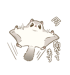 エゾモモンガさん2（個別スタンプ：20）