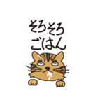 憧れの強い猫（個別スタンプ：4）