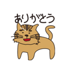 憧れの強い猫（個別スタンプ：5）