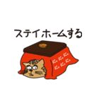 憧れの強い猫（個別スタンプ：11）