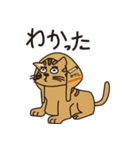 憧れの強い猫（個別スタンプ：13）