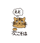 憧れの強い猫（個別スタンプ：14）