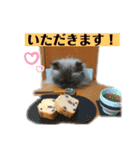 ヒマラヤンのどんちゃん（個別スタンプ：11）