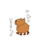 アルパカさん。ときどき、カピバラさん（個別スタンプ：3）