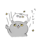 うちのねこ・ふくとグリ【日常スタンプ】（個別スタンプ：1）