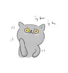 うちのねこ・ふくとグリ【日常スタンプ】（個別スタンプ：7）