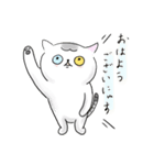 うちのねこ・ふくとグリ【日常スタンプ】（個別スタンプ：13）