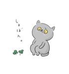 うちのねこ・ふくとグリ【日常スタンプ】（個別スタンプ：21）