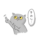 うちのねこ・ふくとグリ【日常スタンプ】（個別スタンプ：22）