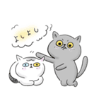 うちのねこ・ふくとグリ【日常スタンプ】（個別スタンプ：30）
