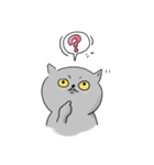うちのねこ・ふくとグリ【日常スタンプ】（個別スタンプ：31）