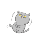 うちのねこ・ふくとグリ【日常スタンプ】（個別スタンプ：33）