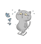 うちのねこ・ふくとグリ【日常スタンプ】（個別スタンプ：39）