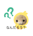 ねこちゃんどうしたの？その④（個別スタンプ：8）