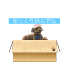 友達メール（個別スタンプ：5）