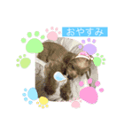 友達メール（個別スタンプ：7）