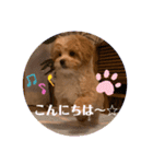 Cuteなトゥッティ（個別スタンプ：3）