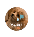 Cuteなトゥッティ（個別スタンプ：6）