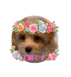 Cuteなトゥッティ（個別スタンプ：7）