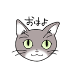 灰色猫の一日（個別スタンプ：1）