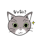 灰色猫の一日（個別スタンプ：2）