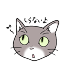灰色猫の一日（個別スタンプ：4）