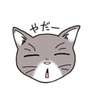 灰色猫の一日（個別スタンプ：5）