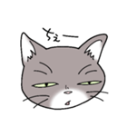 灰色猫の一日（個別スタンプ：6）