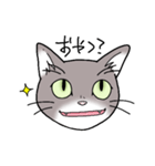 灰色猫の一日（個別スタンプ：9）