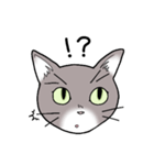 灰色猫の一日（個別スタンプ：11）