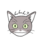 灰色猫の一日（個別スタンプ：14）