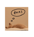 ルナスタンプ第7弾（個別スタンプ：8）